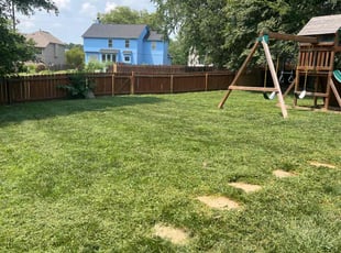 Barbara G.'s Lawn Mowing Service service result