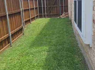 Dawn C.'s Lawn Care service result