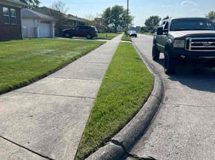 Dion R.'s Lawn Mowing service result