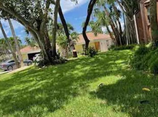 Jewel A. M.'s Grass Cutting service result
