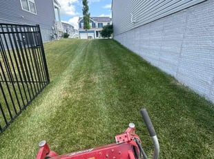 Donna A.'s Lawn Mowing service result