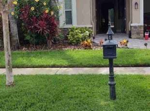 Dave A.'s Lawn Service service result