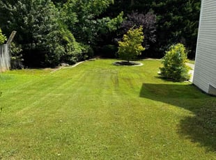 Anne N.'s Lawn Mowing service result