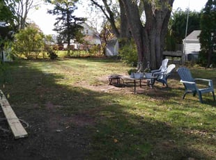 Leaf Removal by David Cardillo for Michelle C. in East Providence, RI