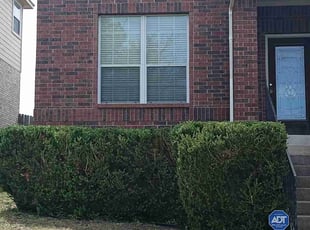 Bush Trimming by Leroy Valdez for Ray P. in San Antonio, TX