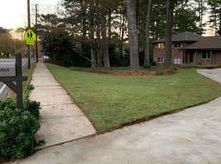 Sam D.'s Lawn Care service result