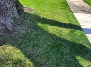 John Y.'s Grass Cutting service result