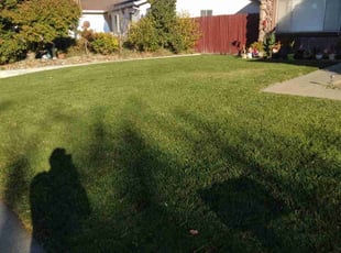 Rita B.'s Lawn Care service result