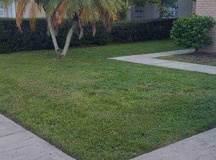 Jennifer J.'s Lawn Care service result