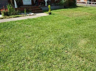 Yakaria B.'s Lawn Care service result