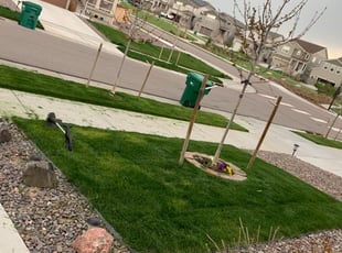 Weeding by Jared Wilkins for David D. in Castle Rock, CO