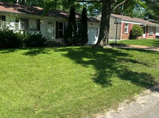 Sibby L.'s Grass Cutting service result
