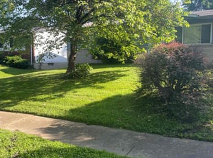 Yakub W.'s Lawn Service service result