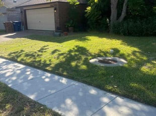 Bryan S.'s Lawn Mowing service result