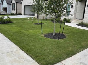 Gayle D.'s Yard Cutting service result