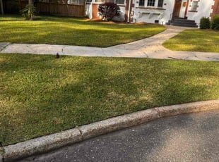 Justin C.'s Lawn Mowing Service service result