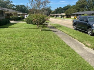 seth s.'s Lawn Maintenance service result