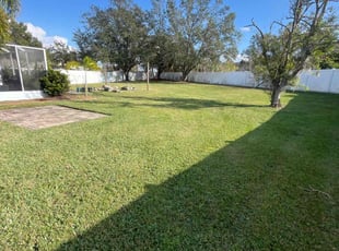 Adam K.'s Lawn Maintenance service result