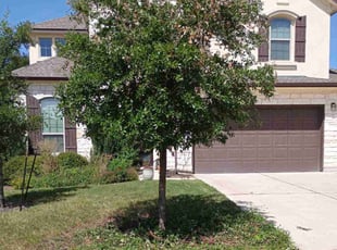 Bush Trimming by Leobardo Sanchez for Sagar b. in Cedar Park, TX