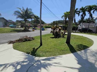 Joseph M.'s Lawn Mowing service result