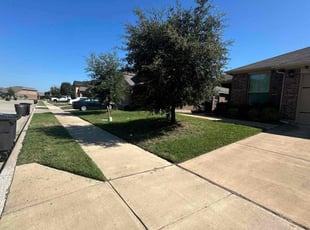 Marco C.'s Grass Cutting service result