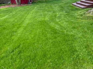 Brittany W.'s Lawn Mowing Service service result