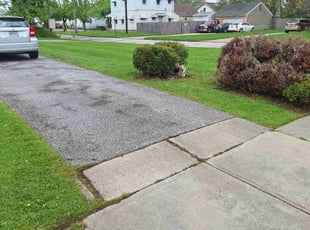Bush Trimming by Christian Rivera for Michael S. in Euclid, OH