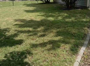 Aaron R.'s Lawn Mowing service result