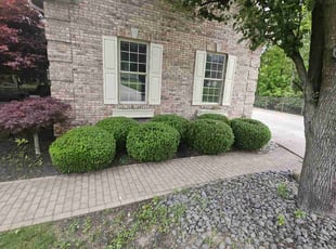 Bush Trimming by Nicholas Weber for Joel P. in Fairfield, OH
