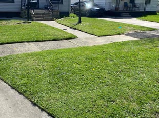Jeff M.'s Lawn Mowing service result