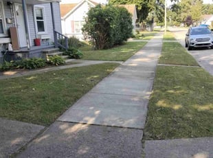 Khalia H.'s Lawn Mowing service result