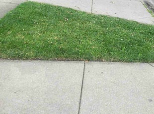 Marvietta M.'s Lawn Service service result