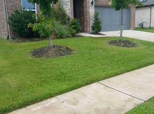 Weeding by Jesus Valencia for Todd N. in Forney, TX