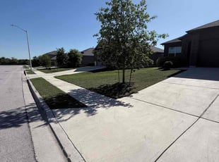 Derek E.'s Lawn Care service result