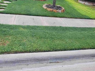 Shawna S.'s Yard Cutting service result