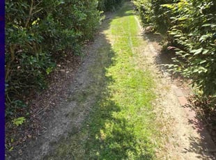 Charles T.'s Lawn Service service result