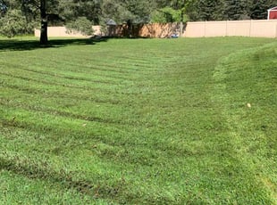 Tiffini B.'s Lawn Service service result