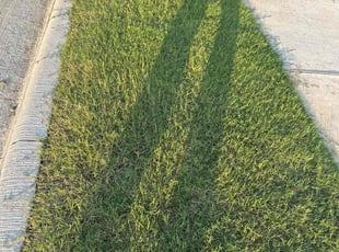 Cleanups by Patrick Stewart for Vandan B. in Anna, TX