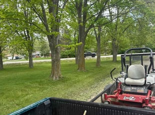 Cleanups by Ethan Coulter for Karen O. in Sterling Heights, MI