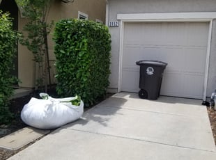 Bush Trimming by Juan Rodriguez for Tiffany D. in Rancho Cordova, CA