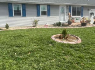 Marc S.'s Lawn Mowing service result