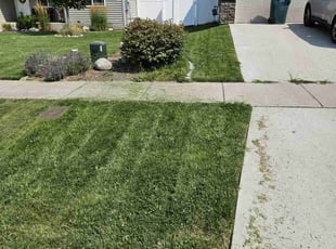 Kimberly A.'s Lawn Maintenance service result