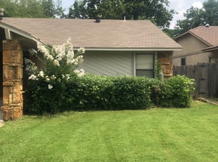 Bush Trimming by Jesse Letbetter for Kelvin B. in Tulsa, OK