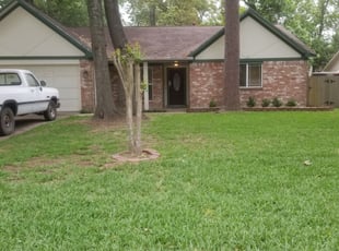 Cleanups by Andra Spencer II for Lesley D. in Houston, TX