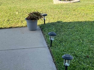 Christine W.'s Yard Cutting service result