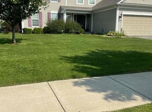 Vernon H.'s Lawn Mowing Service service result