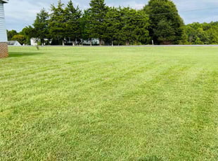 Rhonda C.'s Lawn Care service result