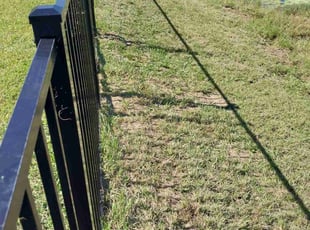 Bush Trimming by Delson Auguste for Ahmed D. in Saint Johns, FL