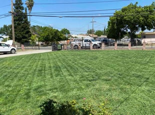 Jacklynn F.'s Yard Cutting service result