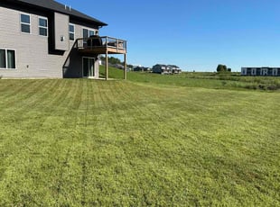 Sarah M.'s Lawn Service service result